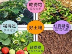 想快速无误的判断出土壤呈酸或呈碱性，这里有