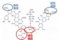 腐植酸对植物的功效与作用分析的太透彻了，建