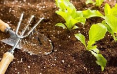 微生物菌剂价格高？理性分析下来真的很便宜！