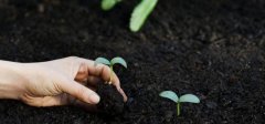 微生物菌剂、菌肥，有机肥还分不清楚？赶紧过来学习下！